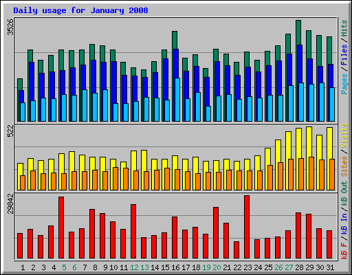 Daily usage for January 2008