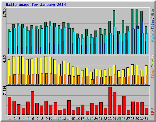 Daily usage for January 2014