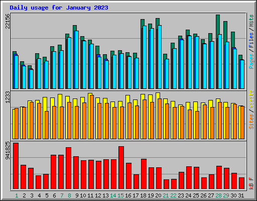 Daily usage for January 2023