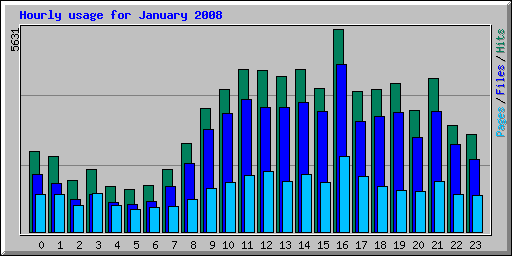 Hourly usage for January 2008