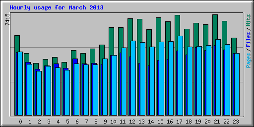 Hourly usage for March 2013