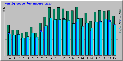 Hourly usage for August 2017