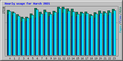 Hourly usage for March 2021
