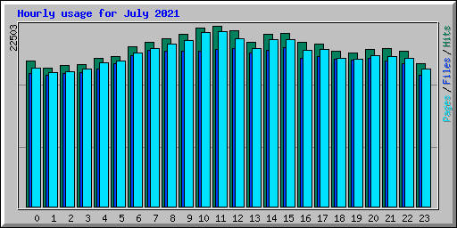Hourly usage for July 2021