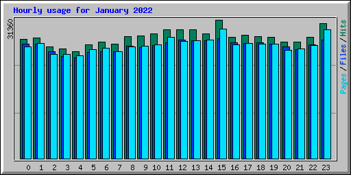 Hourly usage for January 2022