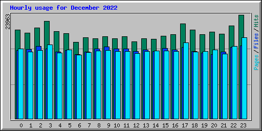 Hourly usage for December 2022