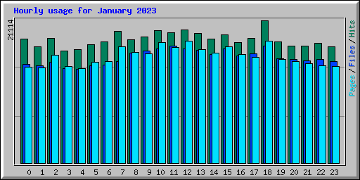 Hourly usage for January 2023