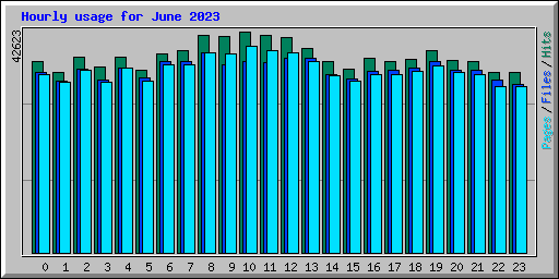Hourly usage for June 2023