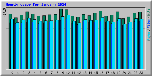 Hourly usage for January 2024