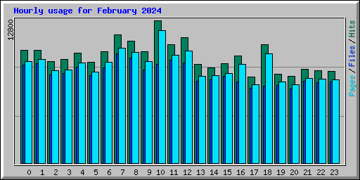 Hourly usage for February 2024